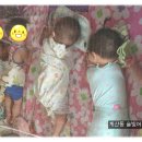 솔빛농장 이미지