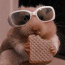 리온PC방 | 친구가 써줬으면 하는 블로그 주제 첫번째(1~12번)