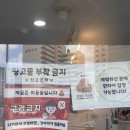 애견미장원 이미지