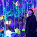광명동굴 VR체험관 이미지