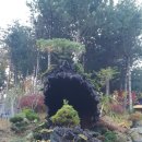 천안농원 이미지