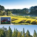 은빛농장 이미지