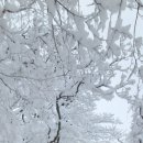 구천동주유소 이미지