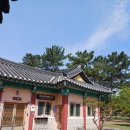 경주 가 볼 만한곳 오릉 방문 후기 조용한 숲길 걷기 좋은 곳