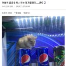 음료수