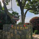 제주;동백