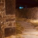 소락뜨레 이미지