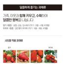 만정농장 이미지