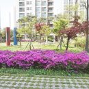 아이파크부동산중개 이미지