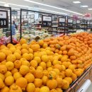 하귀농업협동조합 동부지점 이미지