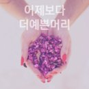 더예쁜머리 네이버블로그