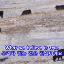 Boyzone - No Matter What 이미지