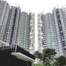 심스메디 이미지