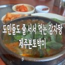 제주본토박이 이미지