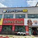 댕댕아 학교가자 이미지