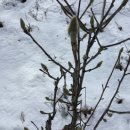 자연농장 이미지