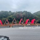 무아레도그라운드 이미지