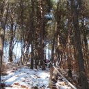 화남농원 이미지