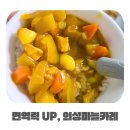 경북깐마늘 | 의성마늘 산지직송 의성깐마늘 싱싱함에 반한 후기