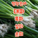 에프미고 이미지