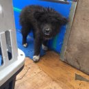 대부중앙로 이미지