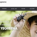 캠프예그리나 이미지