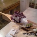 당고집 이미지