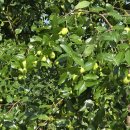 산뜨락힐링펜션 이미지