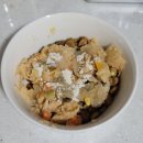 마로동물병원 | 마로의 항암 일기_후코이단