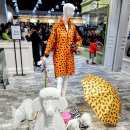 몰리스펫샵 센텀 이미지