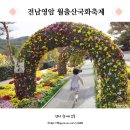 기찬재 | 전남 가을꽃축제 영암 월출산국화축제 기본정보