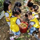 옥이네농장 이미지