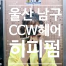 울산 신정동 미용실 CCW헤어 히피펌 임산부 파마 염색 전문