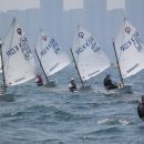 요트학교 이미지