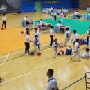 넘버원태권도장 이미지