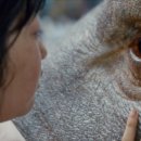 가학축산 이미지