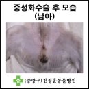 진정훈동물병원 이미지