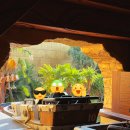 크레이지 더 코인 | 유니버셜 스튜디오 재팬 슈퍼 닌텐도월드 공략 총정리