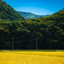 대신마트