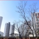 율곡중(버스정류장) 이미지