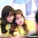 댓나잇