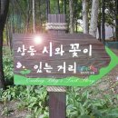 상동 484 이미지