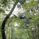 순환형코스 이미지