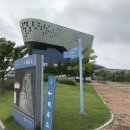 국립해양생물자원관 씨큐리움 이미지