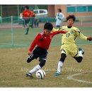 대전화정초등학교 이미지