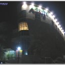 수성그린비 이미지