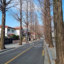 디배따(DIBETTA) | 창원 가로수길 카페 디배따(Dibetta), 갸또쇼콜라와 라임애플에이드 맛집 후기