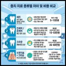 영양 불광치과기공소 | 충치 치료 종류별 차이와 비용 비교 레진 인레이 크라운 신경치료 선택 기준은?