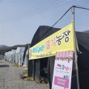 길농장 이미지