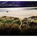 구마2길 이미지